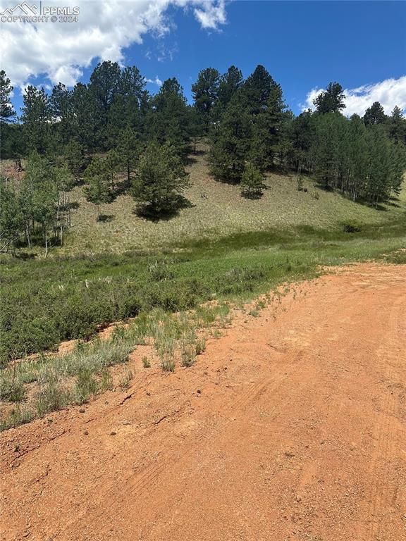 634 Valley Rd, Divide, CO 80814
