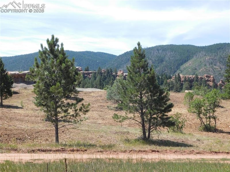 6382 Country Club Dr, Larkspur, CO 80118