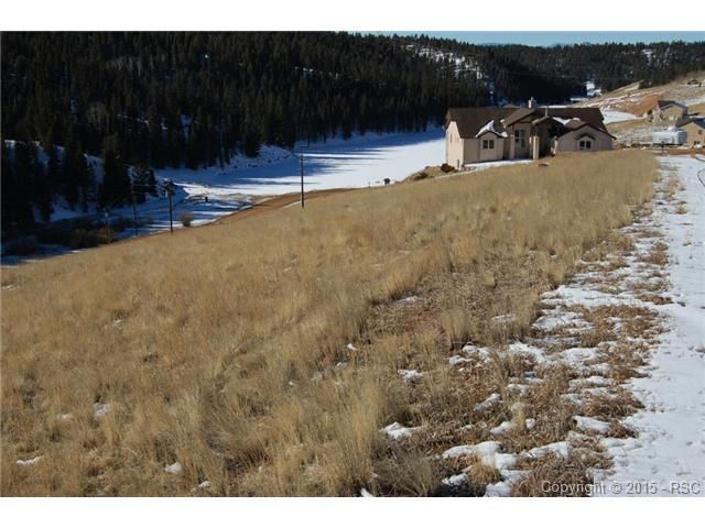 64 Muskrat Lake View Rd, Divide, CO 80814