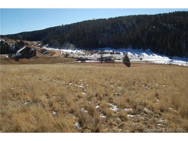 64 Muskrat Lake View Rd, Divide, CO 80814