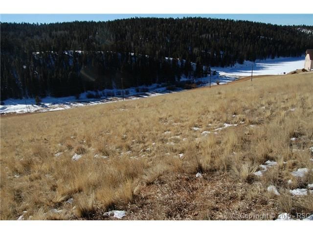 64 Muskrat Lake View Rd, Divide, CO 80814