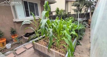 6417 Dewsbury Dr, Colorado Springs, CO 80918