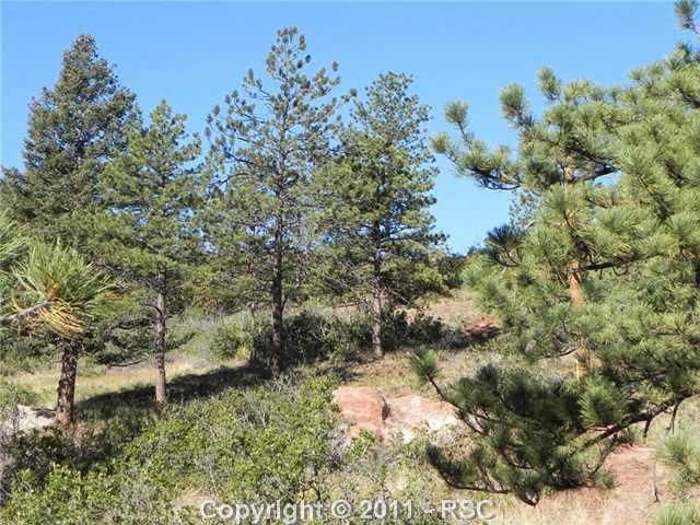 6436 Apache Dr, Larkspur, CO 80118