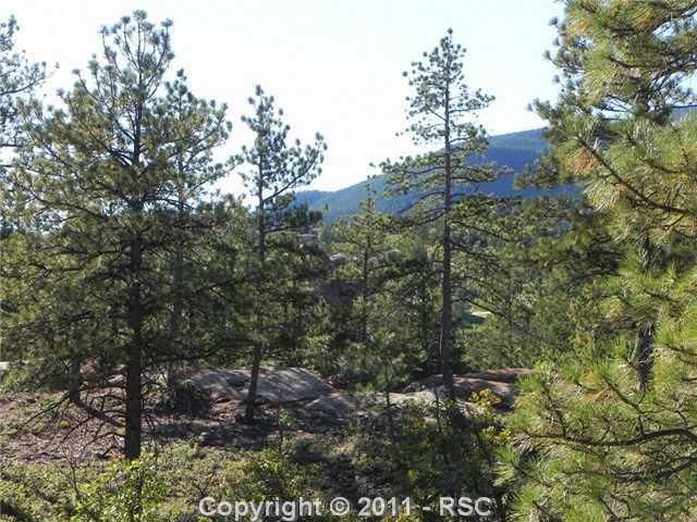 6436 Apache Dr, Larkspur, CO 80118
