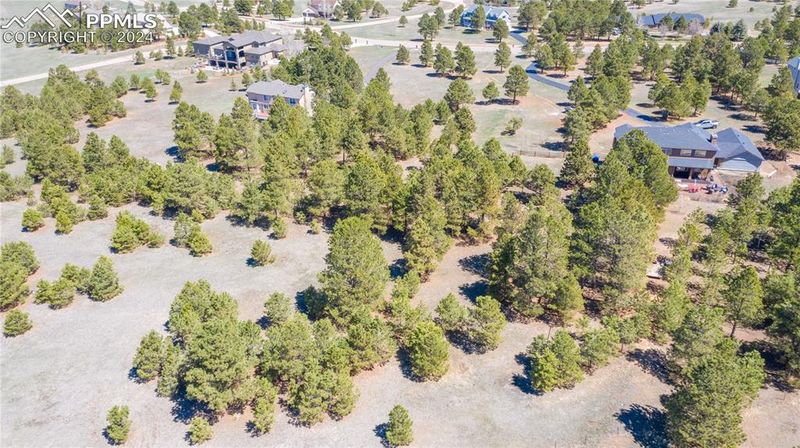 645 E Kings Deer Point, Monument, CO 80132