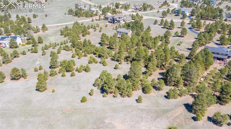 645 E Kings Deer Point, Monument, CO 80132