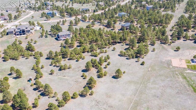 645 E Kings Deer Point, Monument, CO 80132