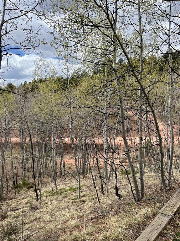 646 Grey Eagle Dr, Cripple Creek, CO 80813