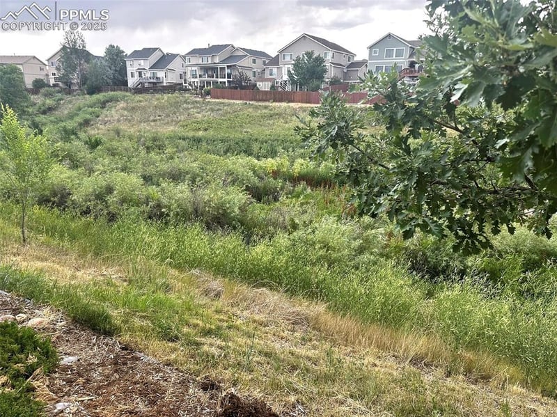 6463 Bluffmont Point, Colorado Springs, CO 80923