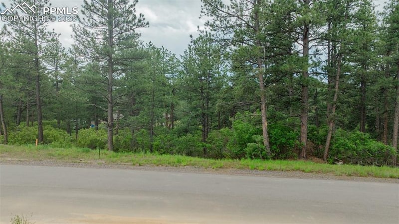 648 Copper Fox Pl, Larkspur, CO 80118