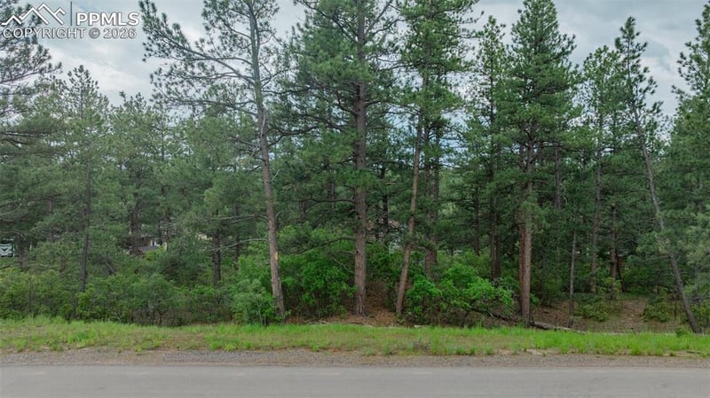 648 Copper Fox Pl, Larkspur, CO 80118