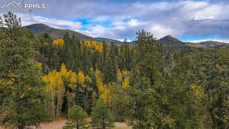 65 Portland Dr, Cripple Creek, CO 80813