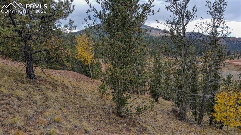65 Portland Dr, Cripple Creek, CO 80813