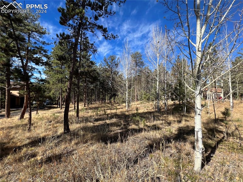 650 Pembrook Dr, Woodland Park, CO 80863