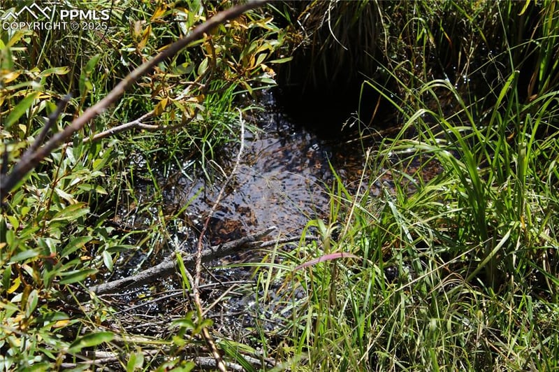 6500 County Road 5, Divide, CO 80814