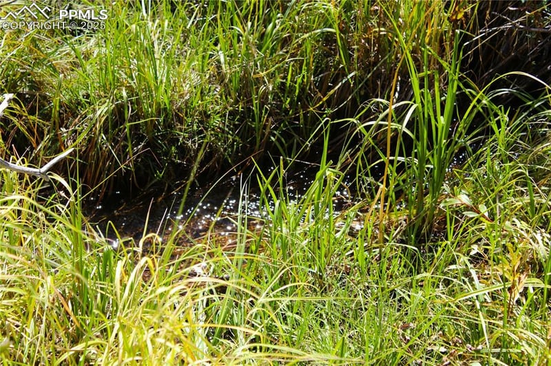 6500 County Road 5, Divide, CO 80814