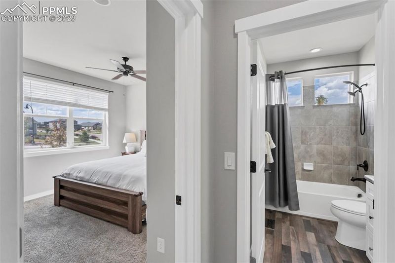 6508 Backcountry Loop, Colorado Springs, CO 80927