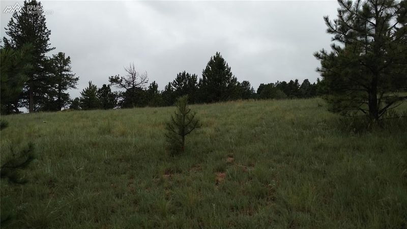 651 Twin Lakes Dr, Divide, CO 80814