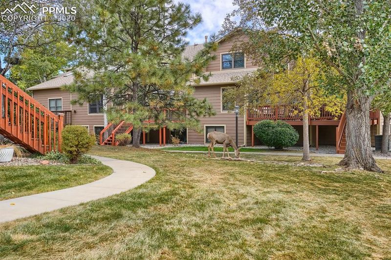 6568 Foxdale Cir, Colorado Springs, CO 80919