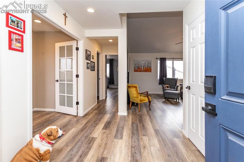 6610 Alibi Cir, Colorado Springs, CO 80923