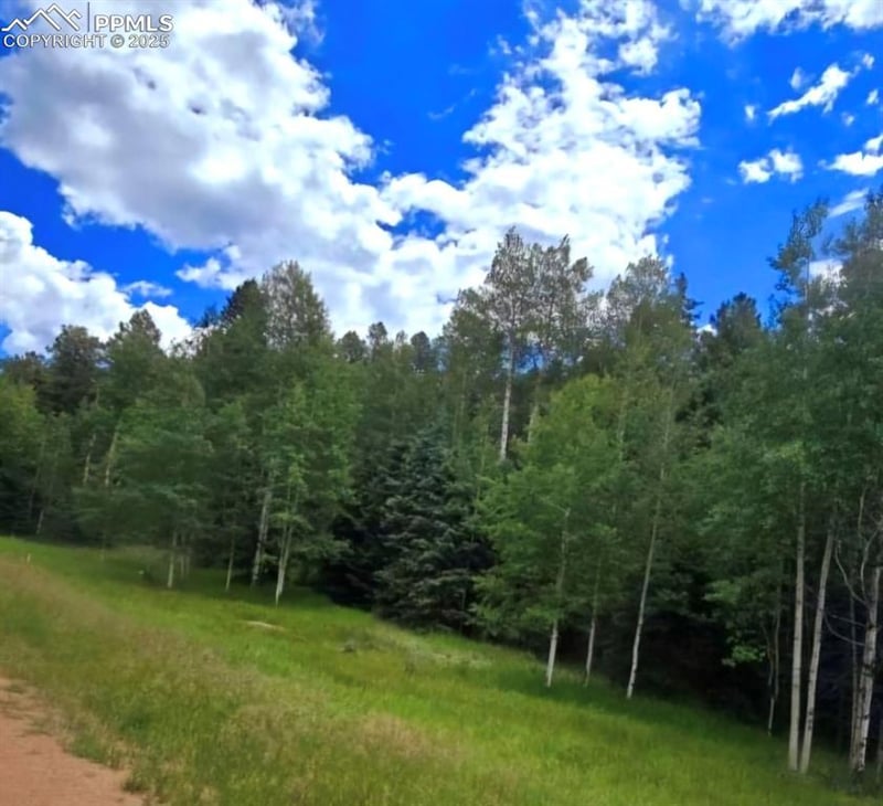 662 Spring Valley Ln, Florissant, CO 80816