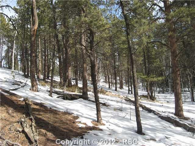 6663 County Road 51, Divide, CO 80814