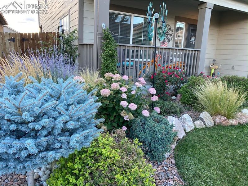 6698 Stingray Ln, Colorado Springs, CO 80925