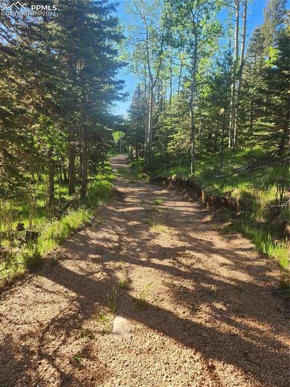 6699 Eagle Mountain Rd, Manitou Springs, CO 80829