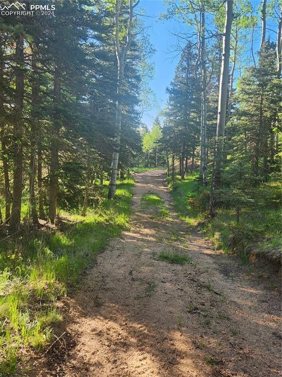 6699 Eagle Mountain Rd, Manitou Springs, CO 80829