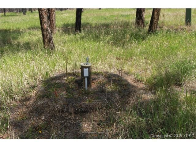 6710 Trappers Pass Trl, Colorado Springs, CO 80908