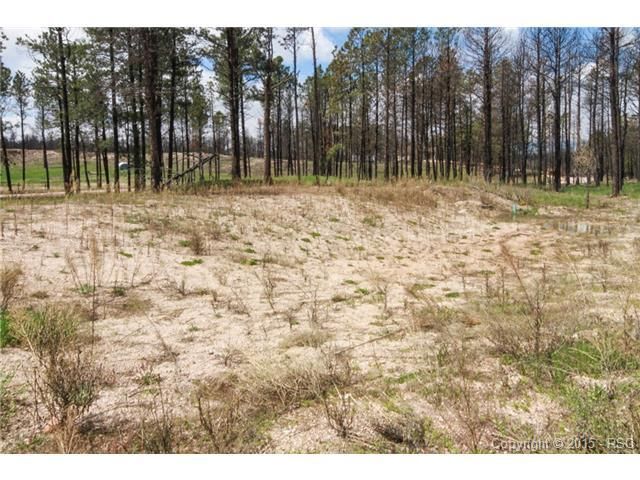 6710 Trappers Pass Trl, Colorado Springs, CO 80908