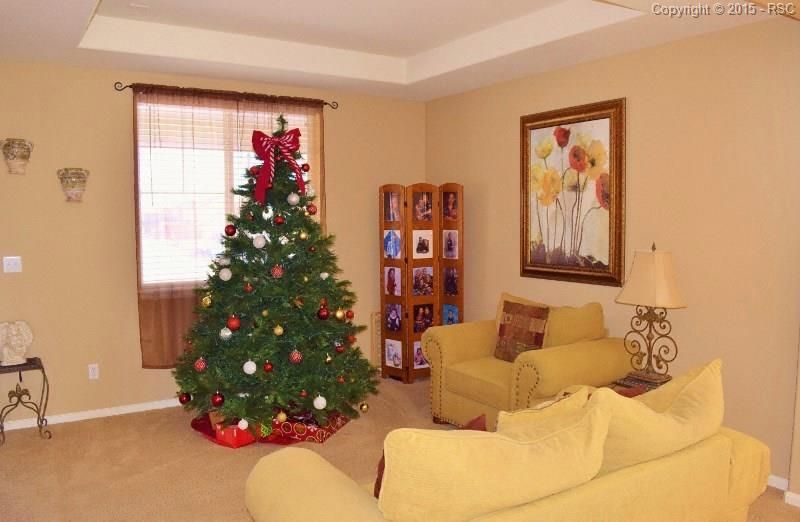6714 Monterey Pine Loop, Colorado Springs, CO 80927
