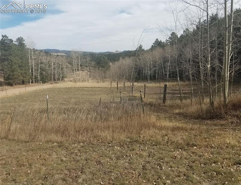672 Delwood Dr, Bailey, CO 80421