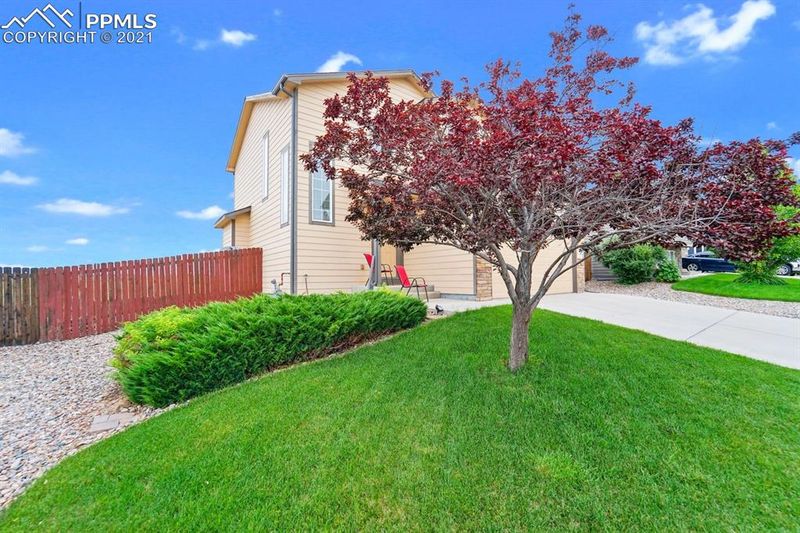 6723 Passing Sky Dr, Colorado Springs, CO 80911