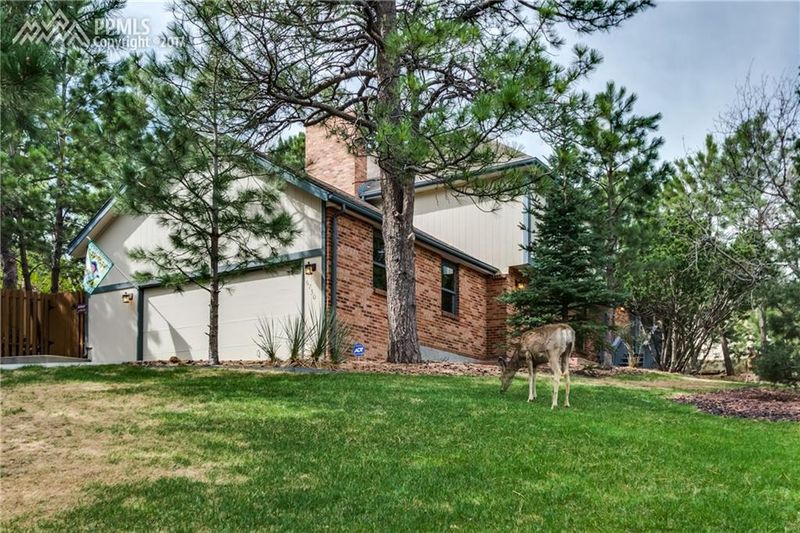 6730 War Eagle Ln, Colorado Springs, CO 80919