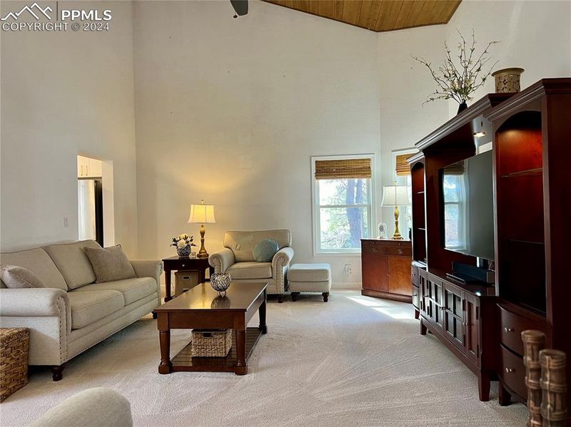 679 Winding Hills Rd, Monument, CO 80132