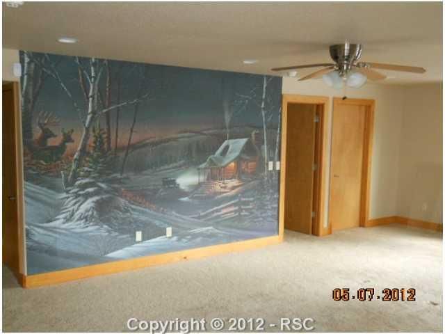 68 Lake Cir, Divide, CO 80814
