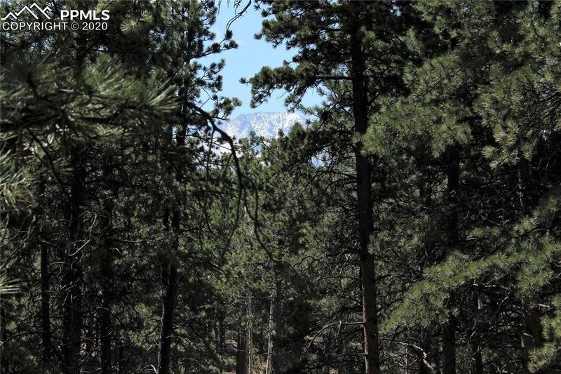 681 Skyline Dr, Woodland Park, CO 80863