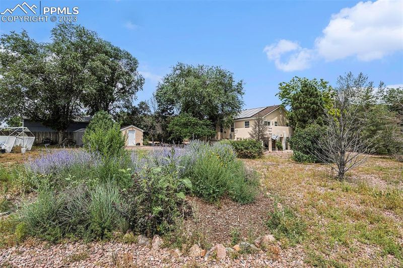 6820 Weeping Willow Dr, Colorado Springs, CO 80925