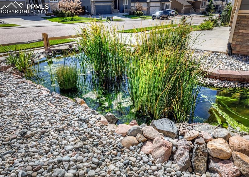 6829 Red Cardinal Loop, Colorado Springs, CO 80908