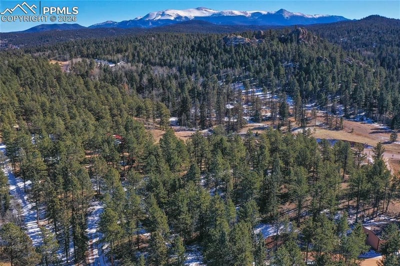 683 Kingston Dr, Florissant, CO 80816
