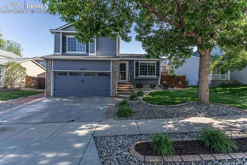 6840 Donnelaith Pl, Colorado Springs, CO 80922