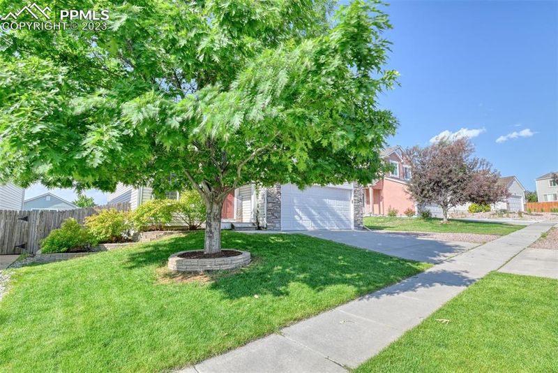 6883 Summer Grace St, Colorado Springs, CO 80923
