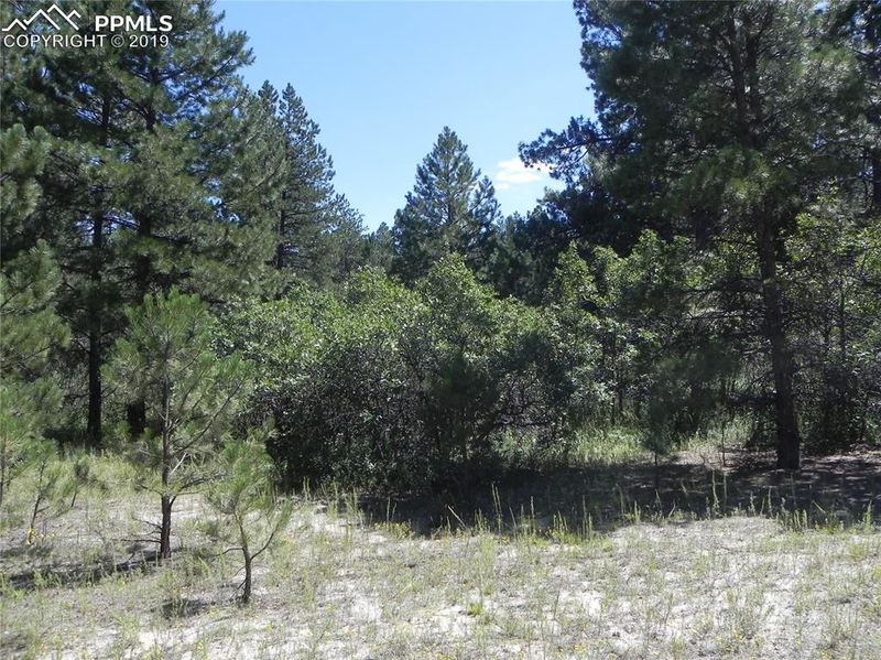 689 Independence Dr, Larkspur, CO 80118