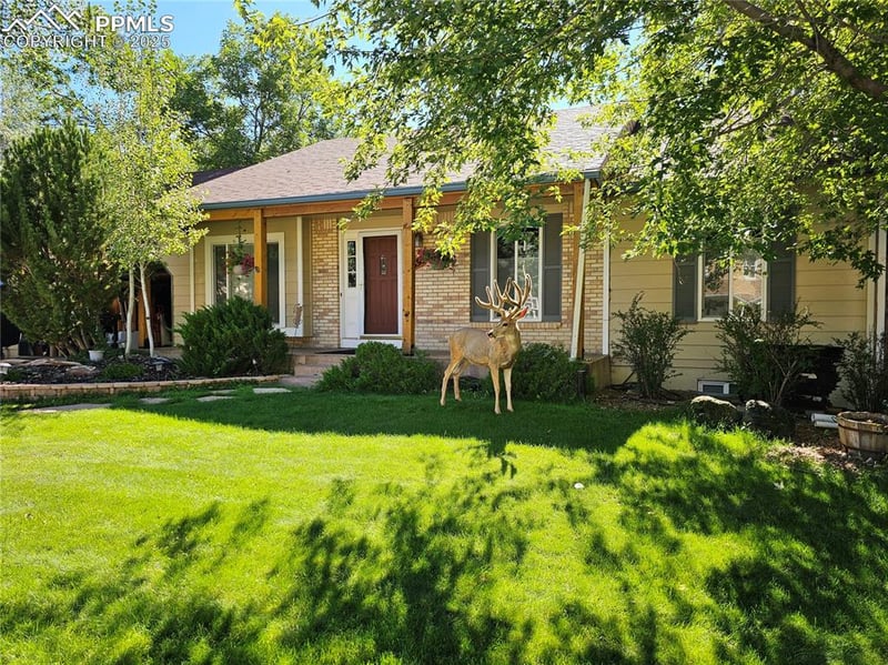 695 Saddlemountain Rd, Colorado Springs, CO 80919