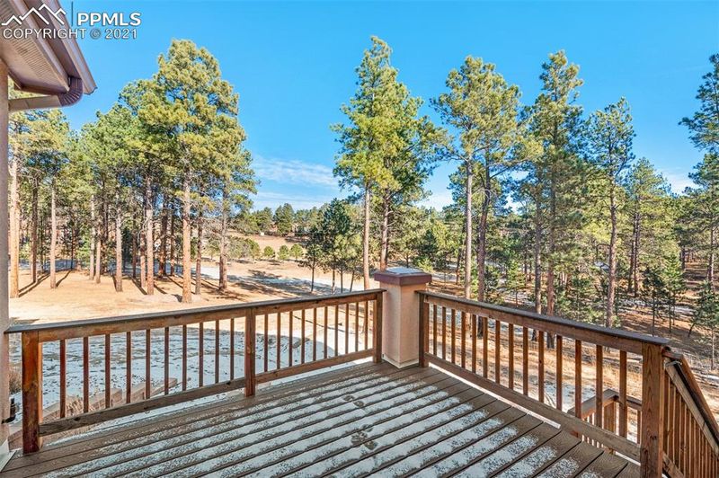 6980 Wildridge Rd, Colorado Springs, CO 80908