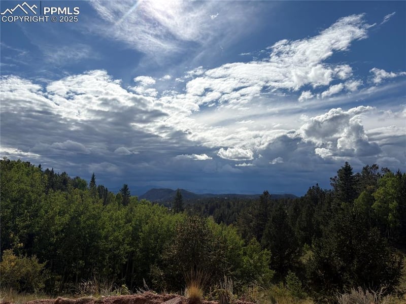 70 Brown Bear Ln, Cripple Creek, CO 80813