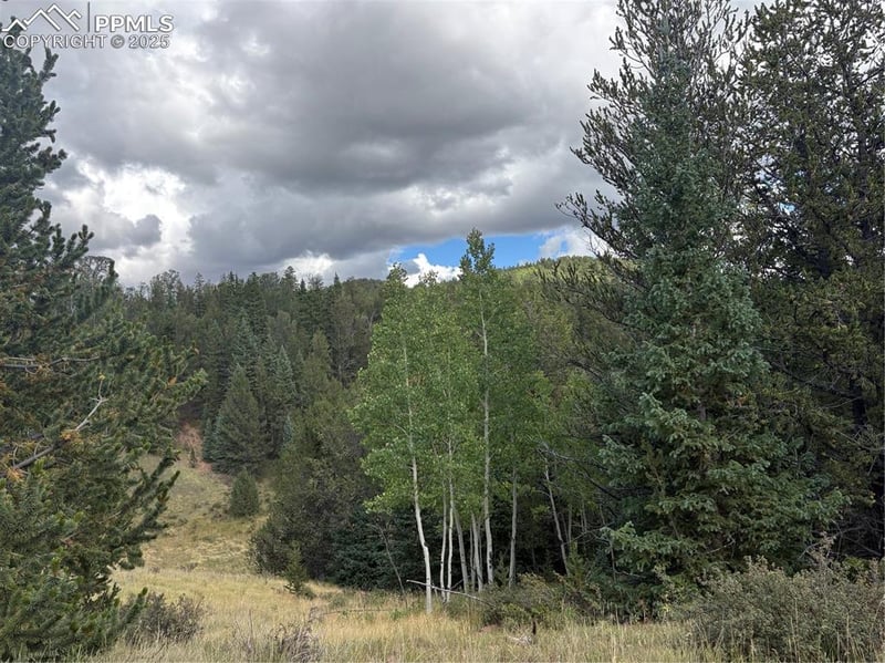 70 Brown Bear Ln, Cripple Creek, CO 80813
