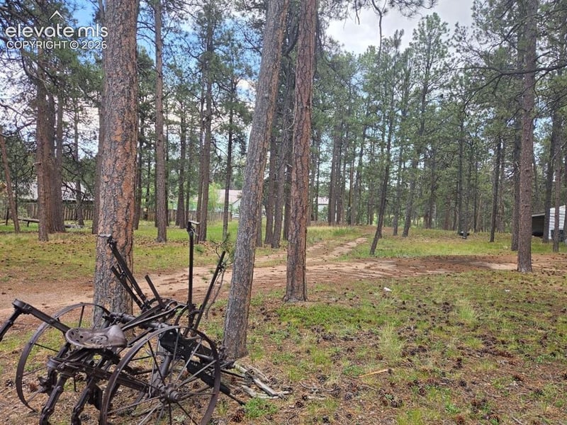 7005 Shoup Rd, Colorado Springs, CO 80908