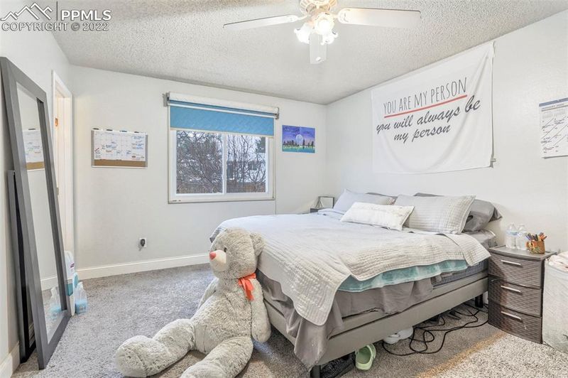 7020 Burroback Ct, Colorado Springs, CO 80911